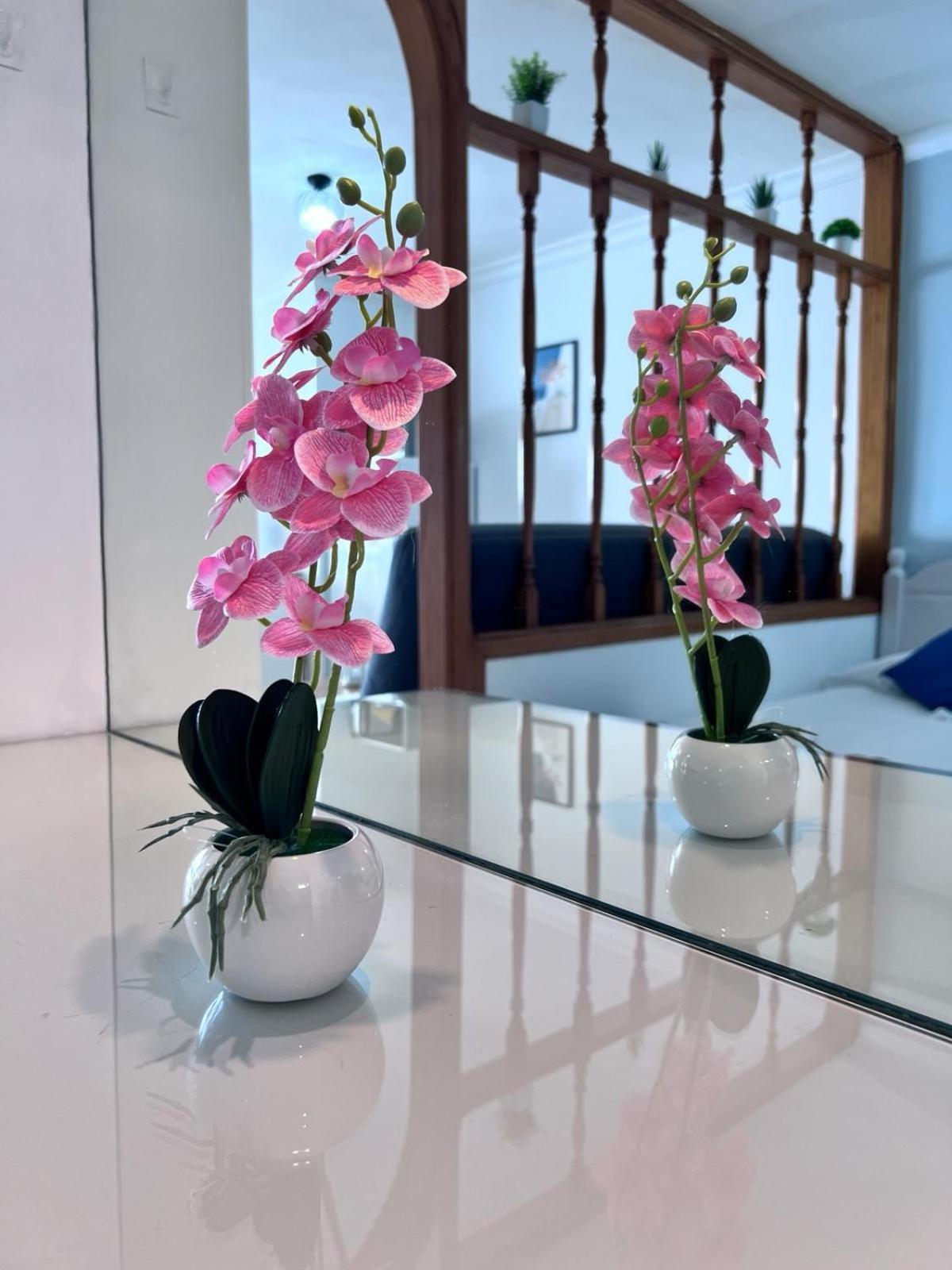 Apartamento-Estudio En La Playa Patalavaca Luaran gambar
